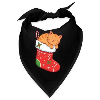 Kuschelkater im festlichen Stiefel - Bandana - Schwarz - Vorne