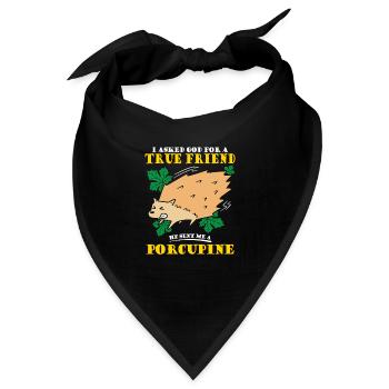 God for a true friend He sent me a Porcupine - Bandana - Schwarz - Vorne