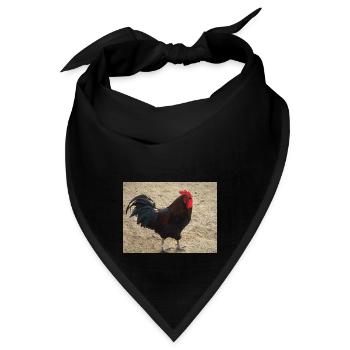 Hahn mit schwarzen Federn - Bandana - Schwarz - Vorne