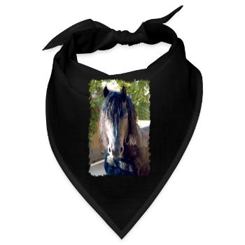 Friesenpferd - Bandana - Schwarz - Vorne