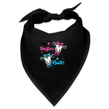 Gender Reveal Babyshower - Bandana - Schwarz - Vorne