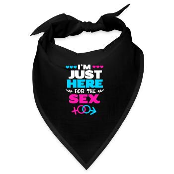 Gender Reveal Babyshower - Bandana - Schwarz - Vorne