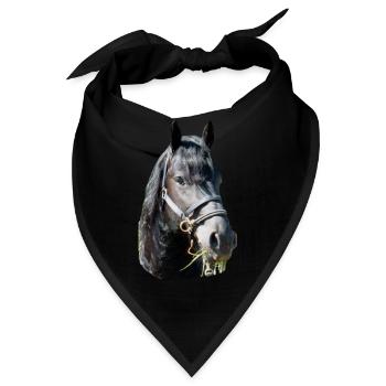 Friese Kopf - Bandana - Schwarz - Vorne