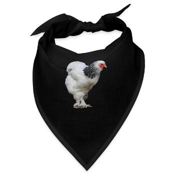 Brahma - Bandana - Schwarz - Vorne