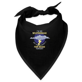 Ich Bin Kein Wetterfrosch - Erwarte Ein Paar - Bandana - Schwarz - Vorne