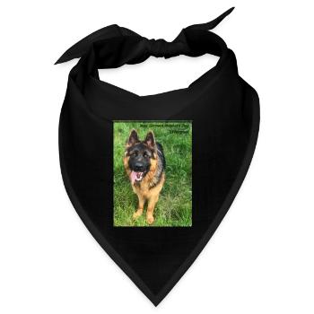 Max Deutscher Schäferhund, Black & Tan treuer Freund - Bandana - Schwarz - Vorne