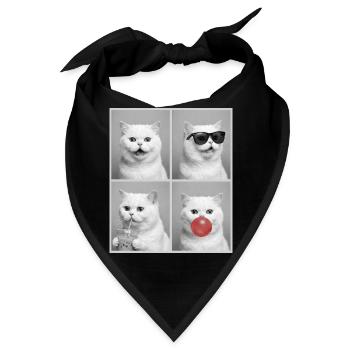 Katzen Perser Katze - Bandana - Schwarz - Vorne