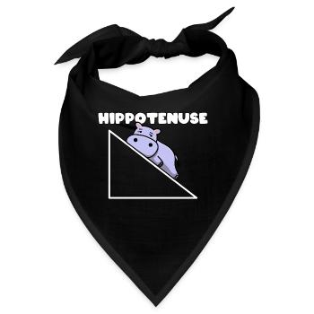 Hippotenuse Pythagoras Mathe Mathematiker Lehrer - Bandana - Schwarz - Vorne