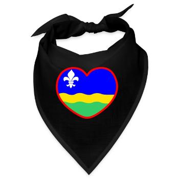Das Herz der Flefonland-Flagge Flevoland - Bandana - Schwarz - Vorne