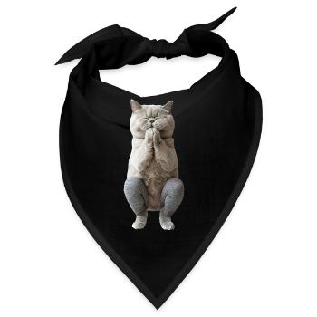 Britisch Kurzhaar - Bandana - Schwarz - Vorne