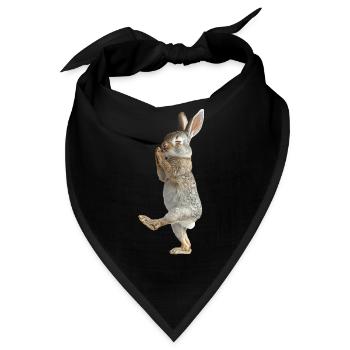 Kaninchen - Bandana - Schwarz - Vorne