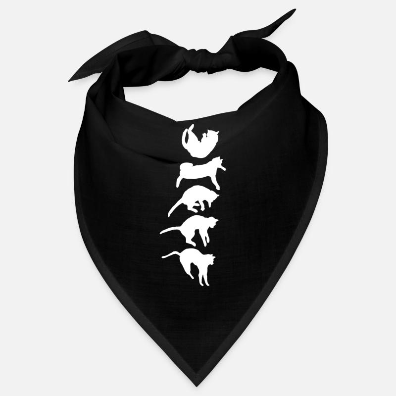 Aufrichtreflex der fallenden Katze Bandana