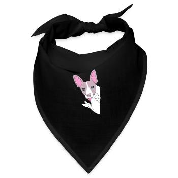Rat Terrier - Bandana - Schwarz - Vorne