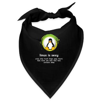 Computer System Pinguin Nerd pc inside code admin - Bandana - Schwarz - Vorne
