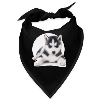 Husky Welpen - Bandana - Schwarz - Vorne