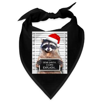Dear Santa I Can Explain Lustiges Weihnachten Wasc - Bandana - Schwarz - Vorne