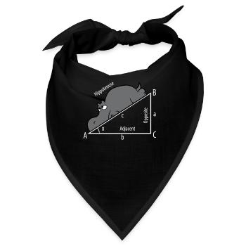 Mathe Pythagoras Hypothenuse Nilpferd Hippo - Bandana - Schwarz - Vorne
