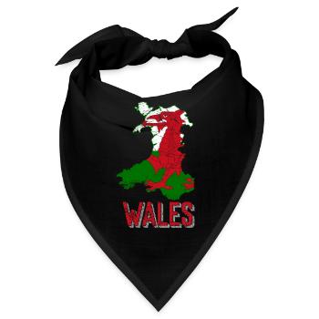 Wales - Bandana - Schwarz - Vorne