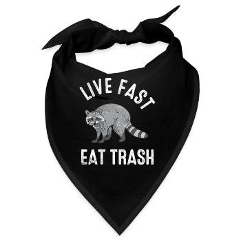 Waschbär - Bandana - Schwarz - Vorne