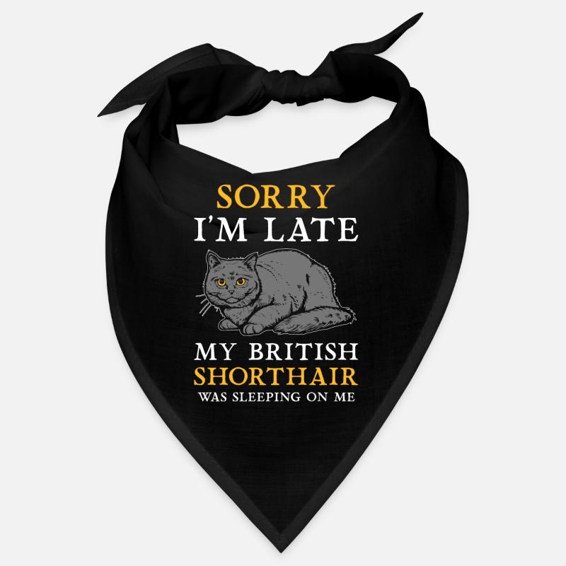 British Shorthair BKH cat Bandana