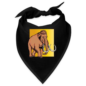 Mammut - Bandana - Schwarz - Vorne