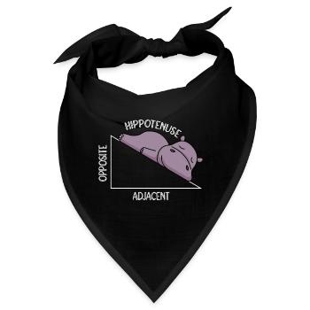 Algebra Mathestudent Mathelehrer Hippotenuse - Bandana - Schwarz - Vorne