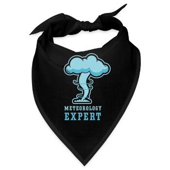 Meteorologie Experte Wettervorhersage Meteorologe - Bandana - Schwarz - Vorne