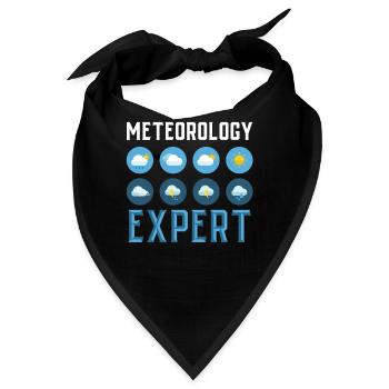 Meteorologie Experte Wettervorhersage Meteorologe - Bandana - Schwarz - Vorne
