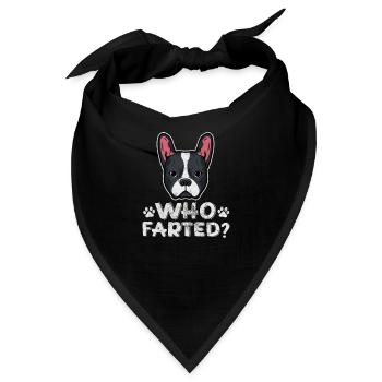 Boston Terrier - Bandana - Schwarz - Vorne