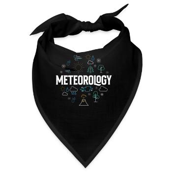 Meteorologie Wettervorhersage Beruf Meteorologe - Bandana - Schwarz - Vorne