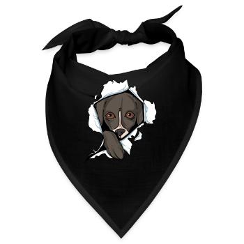 Whippet - Bandana - Schwarz - Vorne