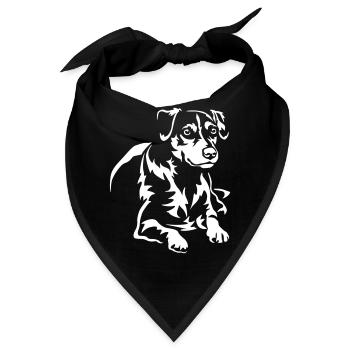 Dansk Svensk Gaardhond "Black Edition" - Bandana - Schwarz - Vorne