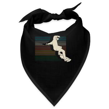 Skateboard - Bandana - Schwarz - Vorne