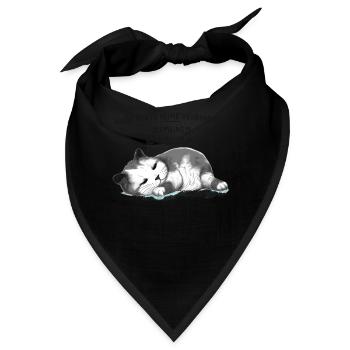 Habe heute keine Verbindung Katze E LAN - Bandana - Schwarz - Vorne