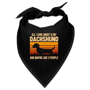 Dachshund Geschenk Dixie Wiener Doxie Dackel - Bandana - Schwarz - Vorne
