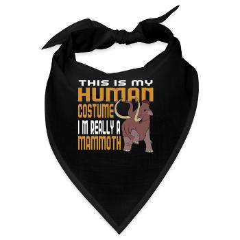 Mammut - Bandana - Schwarz - Vorne