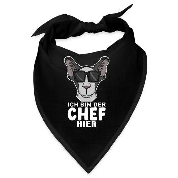 Chef Spruch Anführer Hund - Bandana - Schwarz - Vorne
