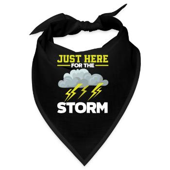 Nur Hier Für Den Sturm Sturmjäger - Bandana - Schwarz - Vorne