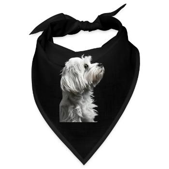 Havaneser - Bandana - Schwarz - Vorne