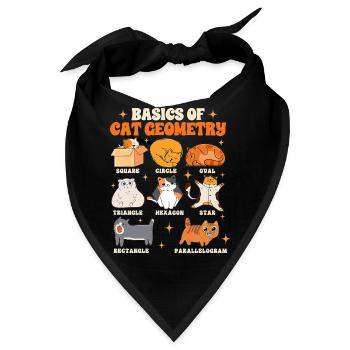 Math Teacher Life Teaching Basics Of Cat Geometry - Bandana - Schwarz - Vorne