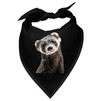 Frettchen - Bandana - Schwarz - Vorne