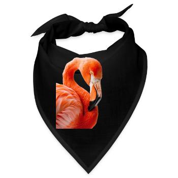 Flamingo - Bandana - Schwarz - Vorne