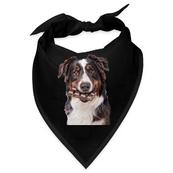 Australischer Schäferhund - Bandana - Schwarz - Vorne