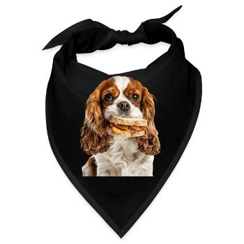 Cavalier King Spaniel - Bandana - Schwarz - Vorne