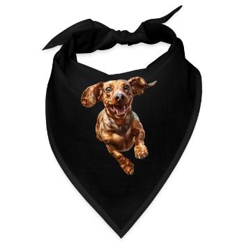 Dackel - Bandana - Schwarz - Vorne