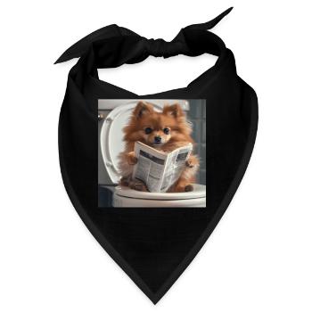 Zwergspitz - Bandana - Schwarz - Vorne