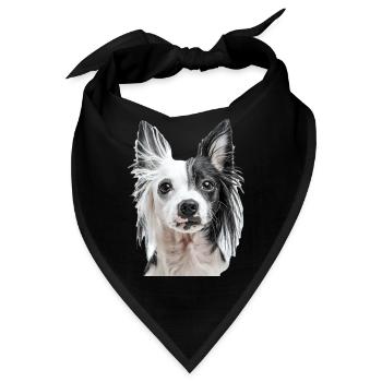 Chinesischer Schopfhund - Bandana - Schwarz - Vorne