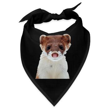 Wiesel - Bandana - Schwarz - Vorne