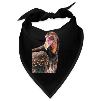 Geier - Bandana - Schwarz - Vorne
