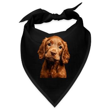 Irish Setter - Bandana - Schwarz - Vorne